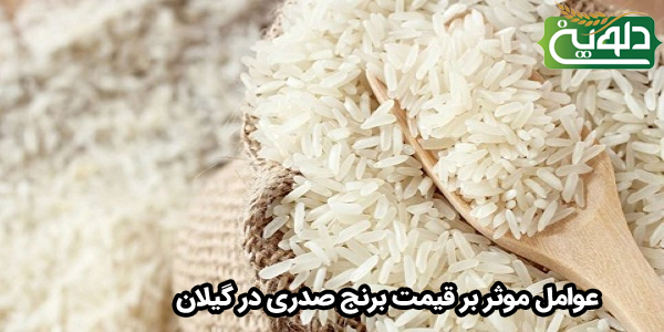 عوامل موثر بر قیمت برنج صدری در گیلان