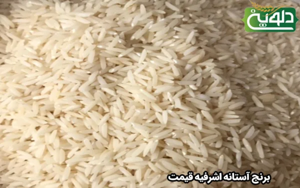 برنج آستانه اشرفیه قیمت