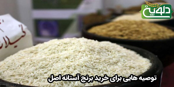 معرفی برنج آستانه اشرفیه