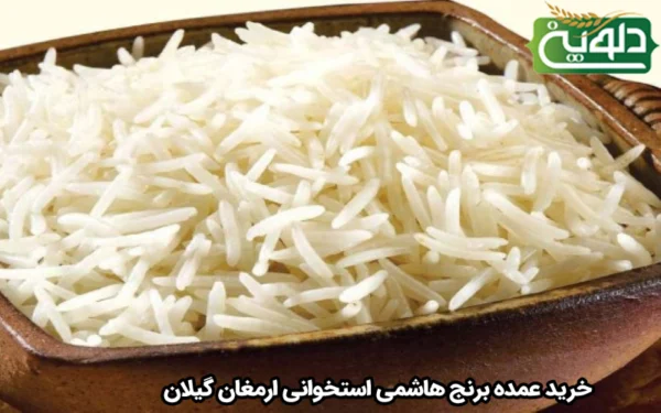 خرید عمده برنج هاشمی استخوانی ارمغان گیلان