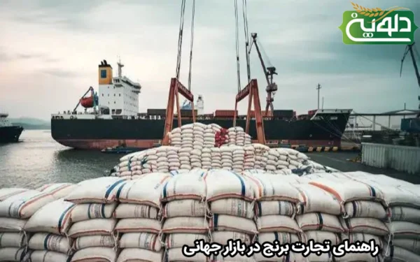 راهنمای تجارت برنج در بازار جهانی