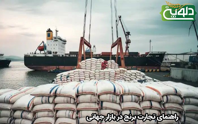راهنمای تجارت برنج در بازار جهانی