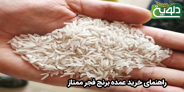 راهنمای خرید عمده برنج فجر ممتاز