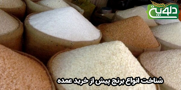 شناخت انواع برنج پیش از خرید عمده