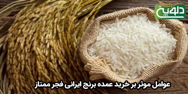 عوامل موثر بر خرید عمده برنج ایرانی فجر ممتاز