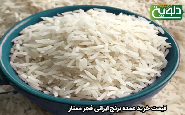 قیمت خرید عمده برنج ایرانی فجر ممتاز
