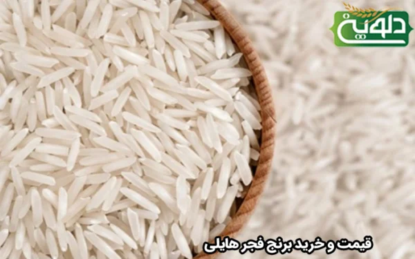 قیمت و خرید برنج فجر هایلی
