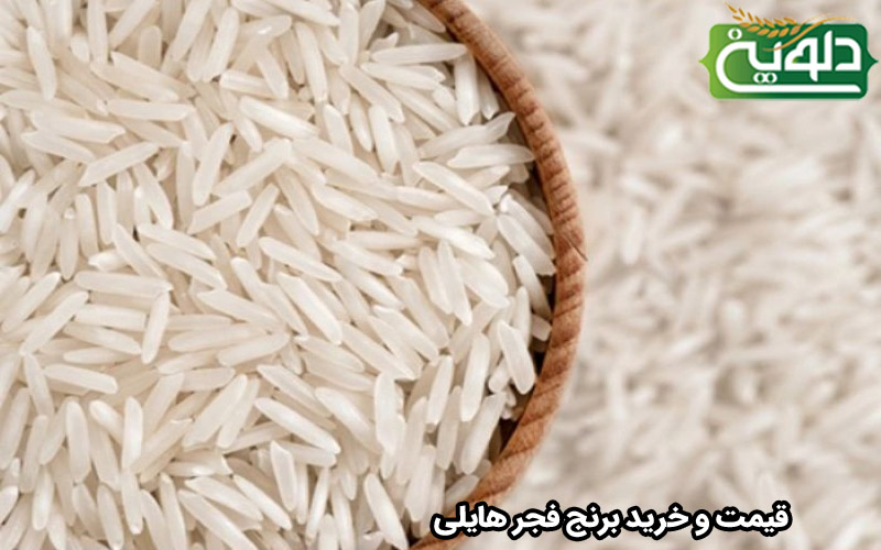 قیمت و خرید برنج فجر هایلی