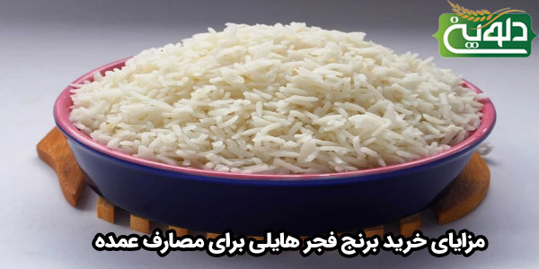مزایای خرید برنج فجر هایلی برای مصارف عمده