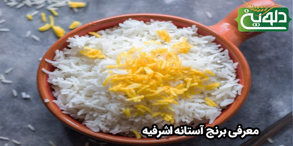 معرفی برنج آستانه اشرفیه