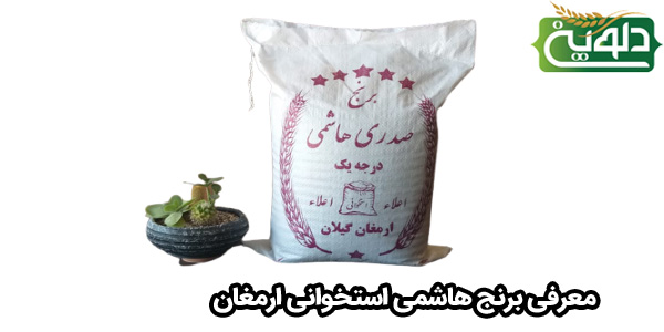 معرفی برنج هاشمی استخوانی ارمغان گیلان