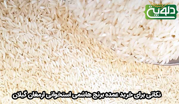 نکات کلیدی برای خرید عمده برنج هاشمی استخوانی ارمغان گیلان