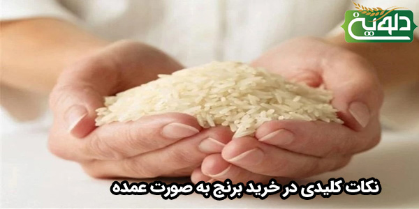 نکات کلیدی در خرید برنج به صورت عمده