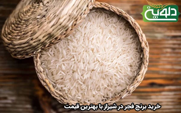 خرید برنج فجر در شیراز با بهترین قیمت