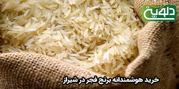 خرید هوشمندانه برنج فجر در شیراز