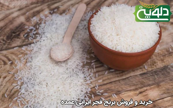 خرید و فروش برنج فجر ایرانی عمده