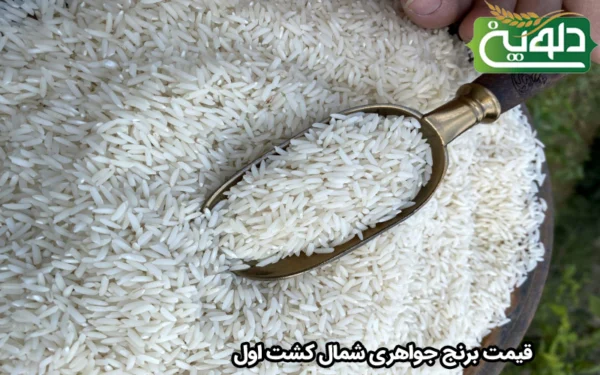قیمت برنج جواهری شمال کشت اول