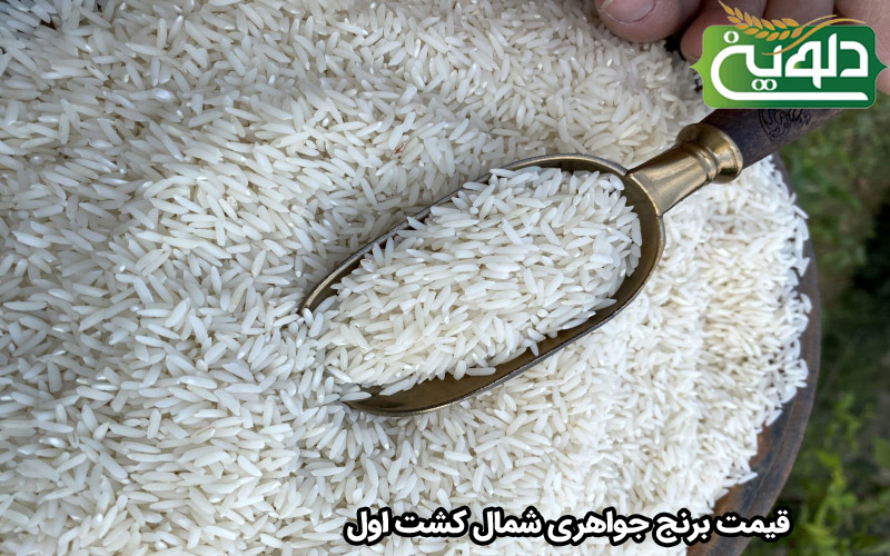 قیمت برنج جواهری شمال کشت اول