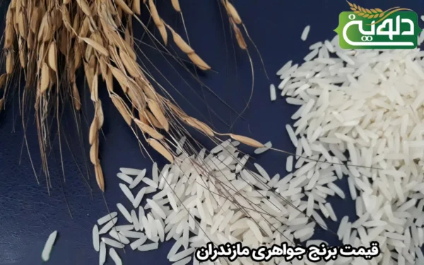 قیمت برنج جواهری مازندران