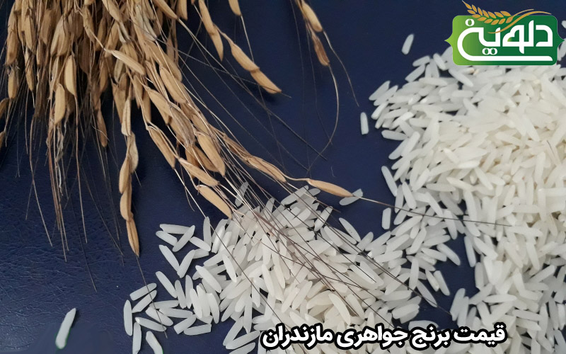 قیمت برنج جواهری مازندران