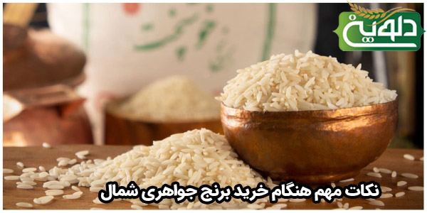 نکات مهم هنگام خرید برنج جواهری شمال کشت اول