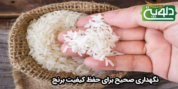 نگهداری صحیح برای حفظ کیفیت برنج
