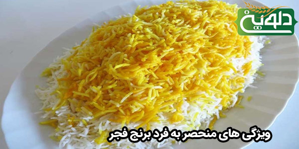 ویژگی های منحصر به فرد برنج فجر چیست؟